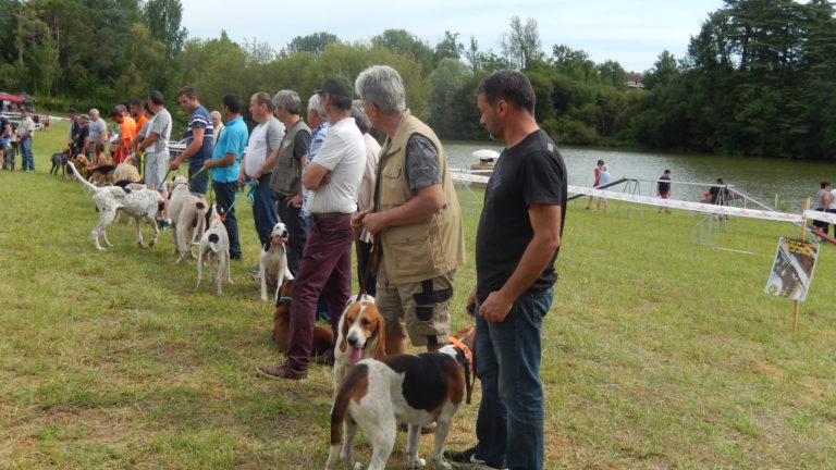 Lot-et-Garonne, la chasse dans nos terroirs