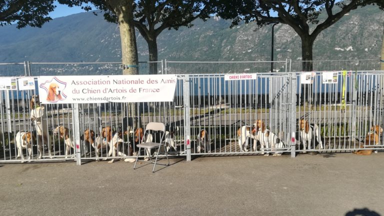 L&rsquo;ANACAF présente à la Fête de la chasse