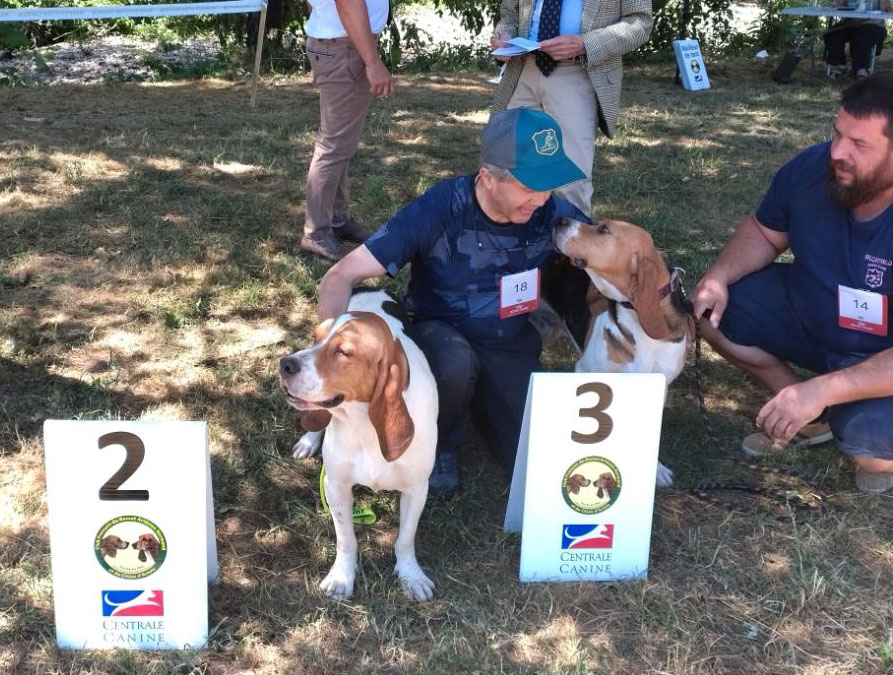 Participer aux épreuves de sélection de la Centrale Canine : le récit d’un week-end en Haute-Loire